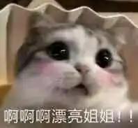 haunt the house friv Video berdurasi 5 menit berjudul 'Mereka Kembali ke Pelukan Ibu Pertiwi' ini ditulis dalam bahasa Korea (http